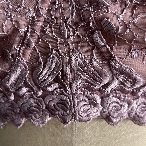 Amoureuse Embroidered Lace Beautiful Bra size 38DD - Picture 4 of 11